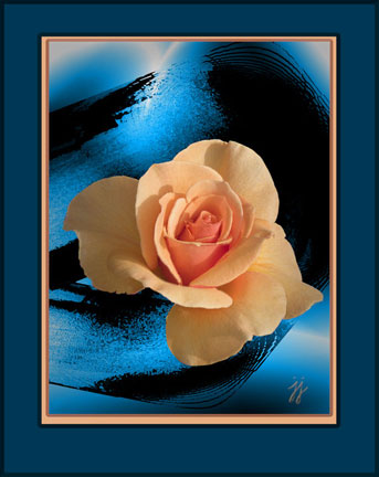 "Yellow Rose" © 2008 Alegría Studio. All rights reserved